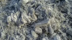 Proč nesprávně aplikujeme popel na zahradě: 3 chyby při aplikaci, které nemají rády rostliny – a půda také. A kdy není užitečný