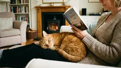 Tyto 4 typy lidí kočky uznávají jako své. Ostatní jsou pro ně jen obsluhující personál.