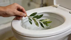 Proč zkušené hospodyňky dávají celý den do záchodu bobkový list: zajímavý životní trik, o kterém málokdo ví