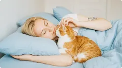 It turns out that cats wake their owners up in the morning not only because they are hungry.